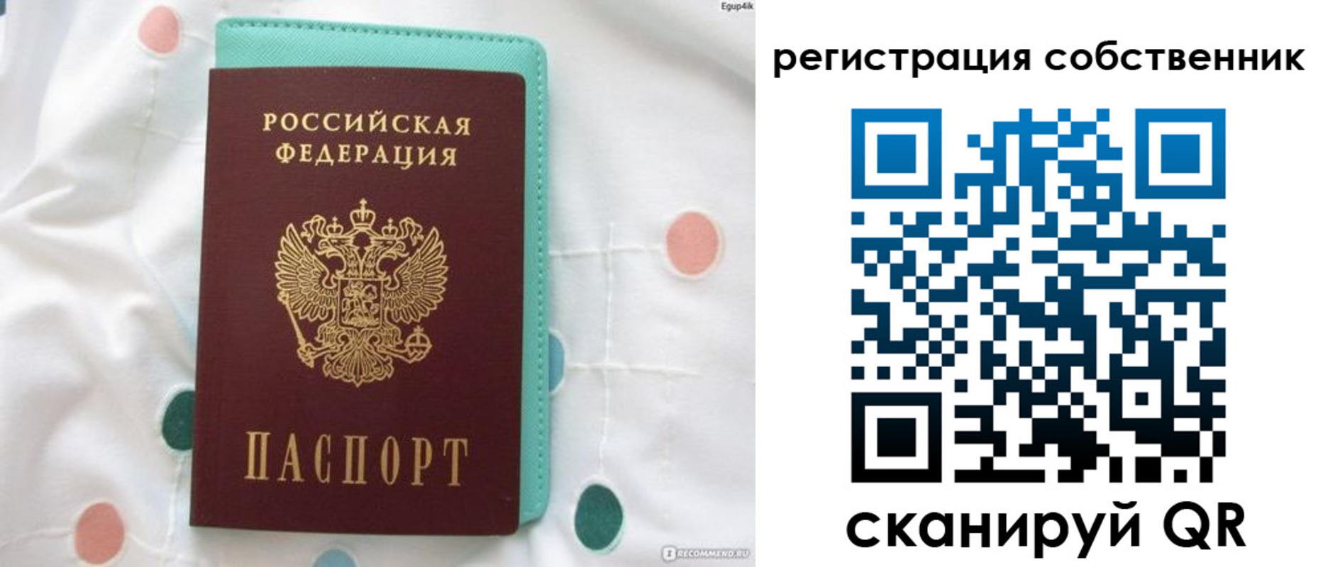 прописка для школы в Ельце
